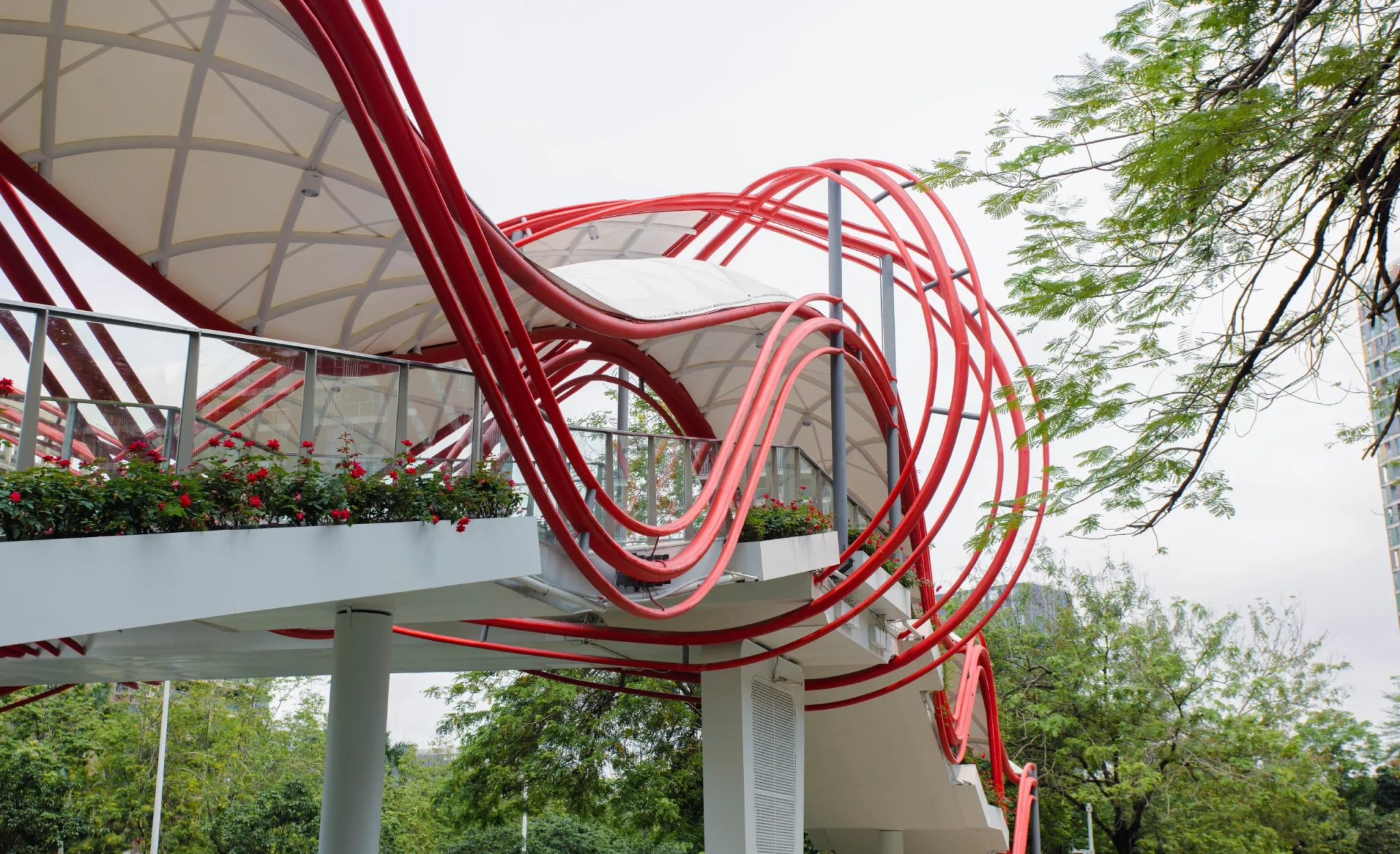 Minzhi School Pedestrian Bridge 4.4.3img5